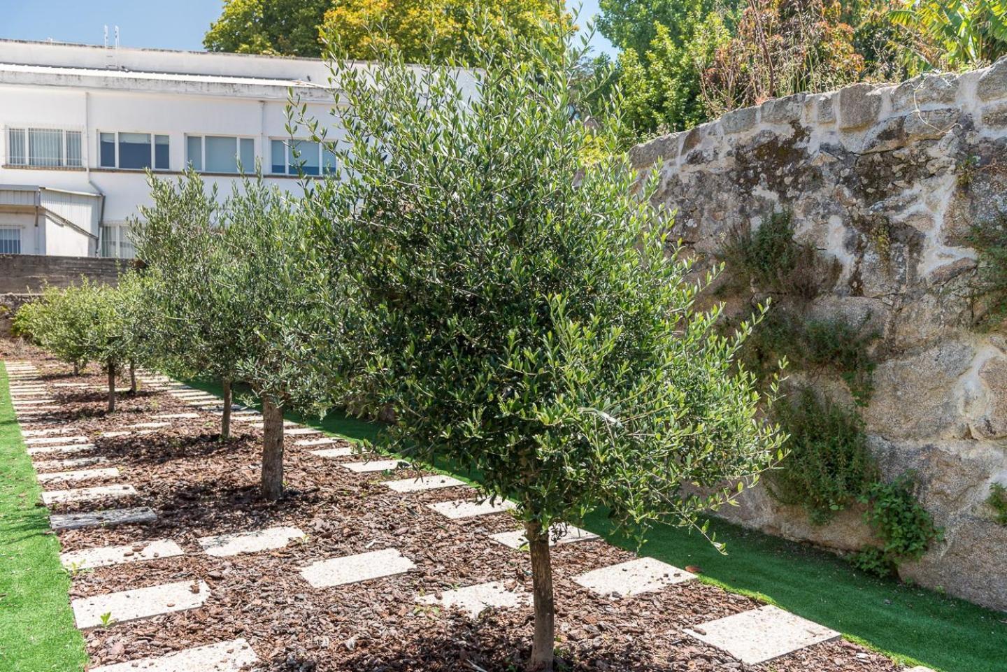 Guestready - Jardim Das Oliveiras Guesthouse - 2 OOporto Esterno foto